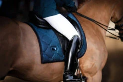 Equestrian Stockholm Elite Dressage Breeches White 9 Equestrian Stockholm Elite Dressage Breeches White -Maximilian Store whitebelite breeches dressage ridbyxa dressur reithosen rijbroek dressuur on3